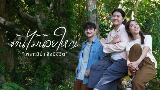ต้นไม้น้อยใหญ่