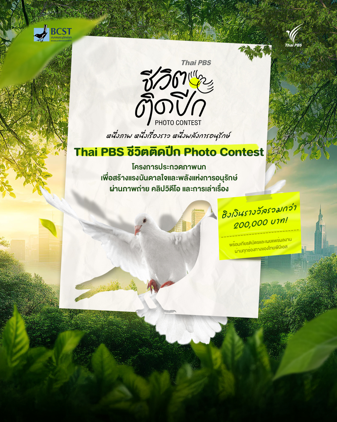 ไทยพีบีเอส ชวนถ่ายภาพนก “ชีวิตติดปีก Photo Contest” เปิดพื้นที่เล่าเรื่องธรรมชาติผ่านเลนส์