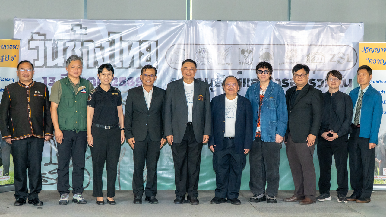 ไทยพีบีเอส จับมือภาคีอนุรักษ์ จัดงาน “วันช้างไทย 2569” หาแนวทางอยู่ร่วมกันอย่างยั่งยืน