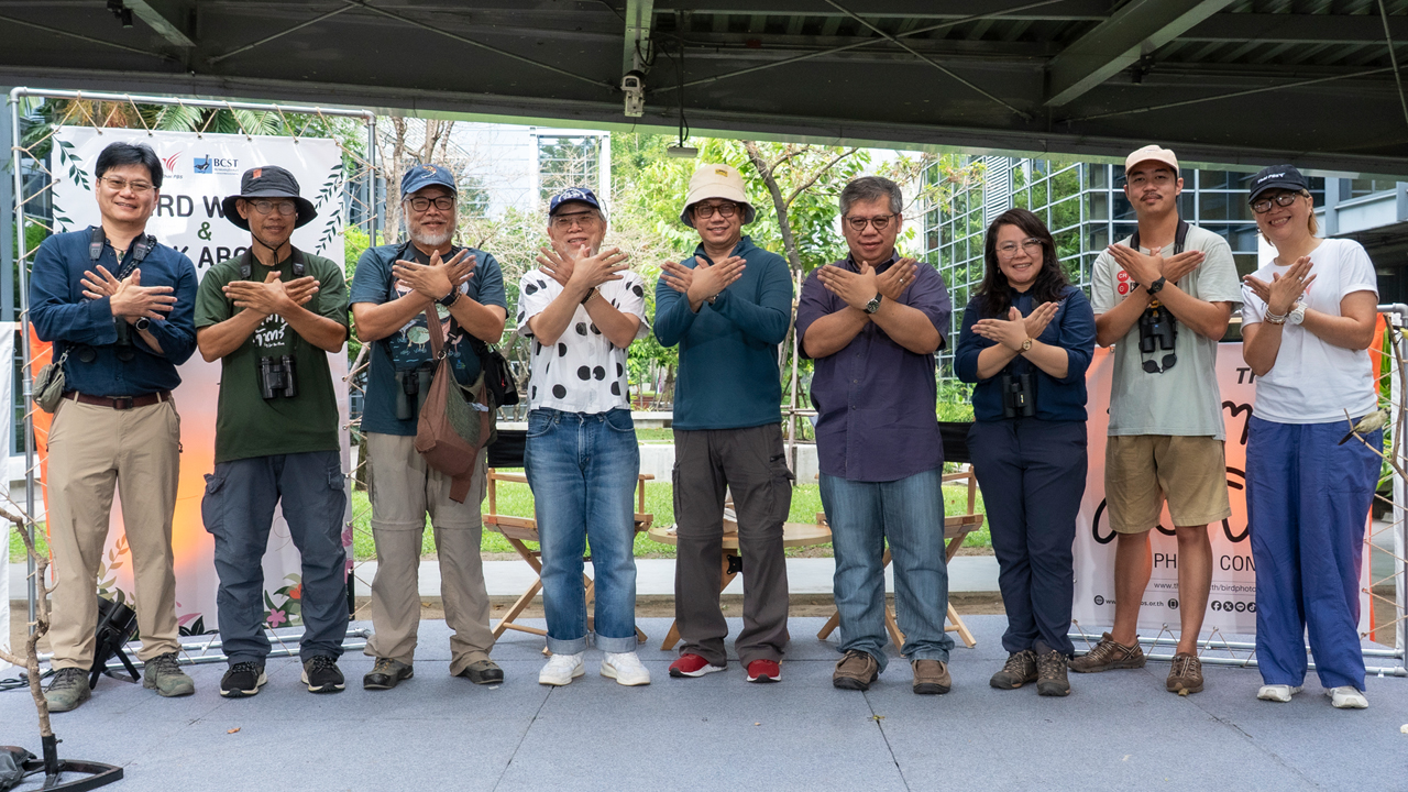ไทยพีบีเอส เปิดบ้าน “ดูนก | มองเมือง | ส่องใจ” สัมผัสธรรมชาติกลางเมือง ชวนประกวดภาพนก “ชีวิตติดปีก”