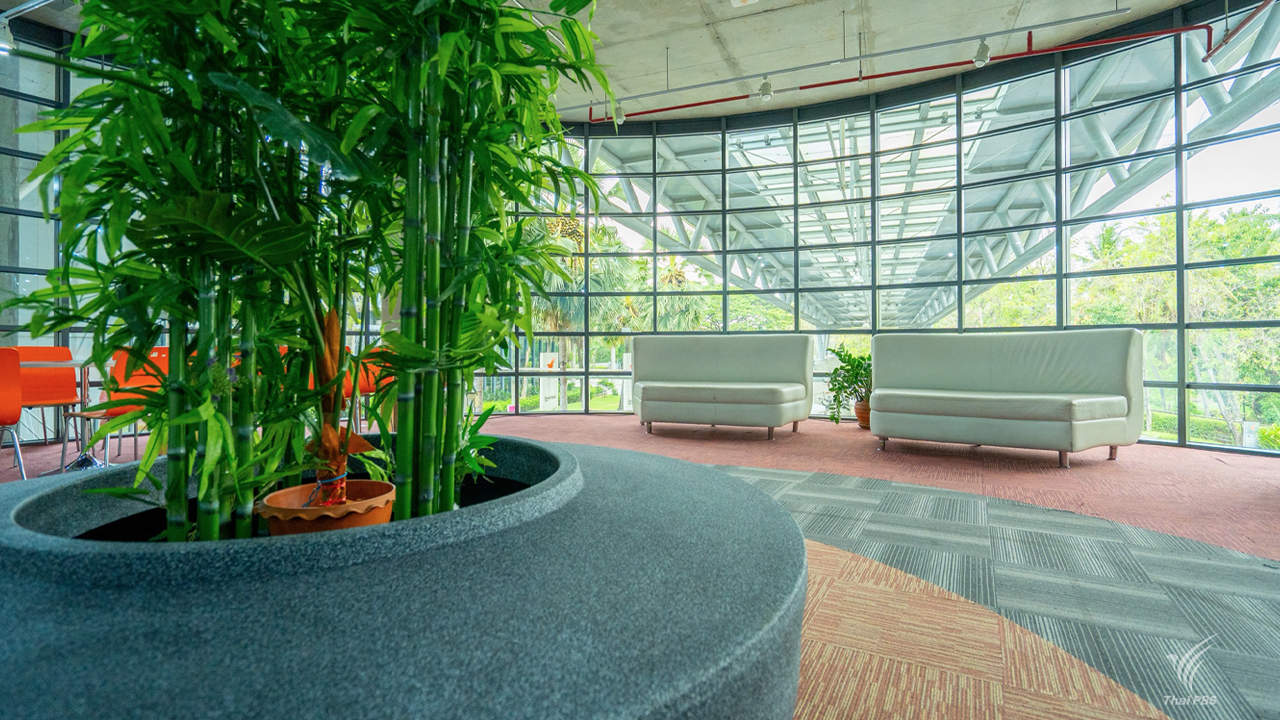 ไทยพีบีเอส เปิดโหมด WFH 2 วัน/สัปดาห์ ลดใช้ไฟฟ้า 15% ประหยัดพลังงานเห็นผลจริง