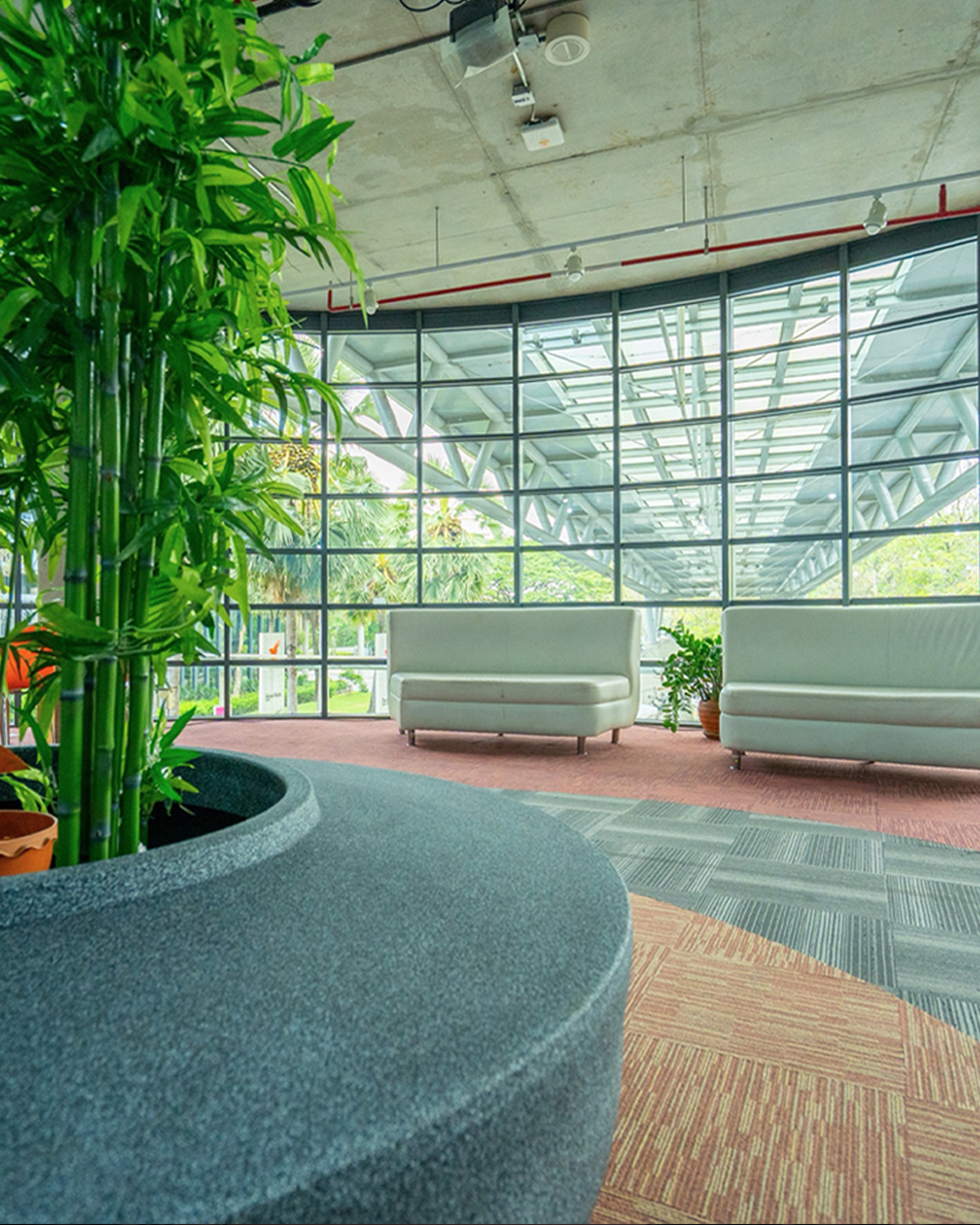 ไทยพีบีเอส เปิดโหมด WFH 2 วัน/สัปดาห์ ลดใช้ไฟฟ้า 15% ประหยัดพลังงานเห็นผลจริง